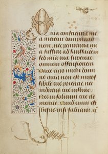 Dekorierte Textseite von Unknown artist