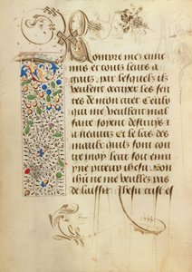 Geschmückte Textseite von Unknown artist