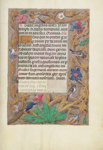 Geschmückte Textseite von Unknown artist