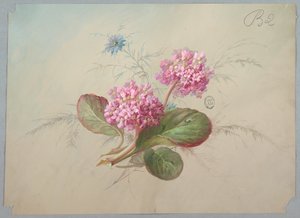Entwurf für Tapeten und Textilien: Blumen