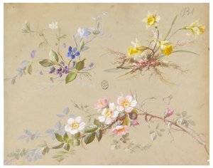 Entwurf für Tapeten und Textilien: Blumen