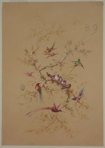 Entwurf für Tapete und Textilien: Blumen und Vögel