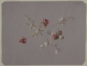 Design für Tapeten und Textilien: Blumen
