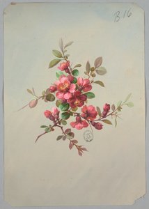 Entwurf für Tapeten und Textilien: Blumen