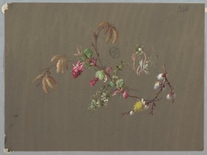 Entwürfe für Tapeten und Textilien: Blumen
