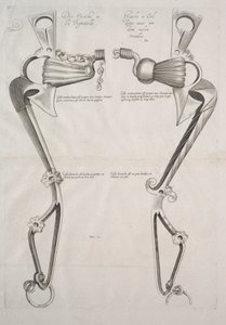 Diagramm für ein Pferdegebiss von Unknown artist