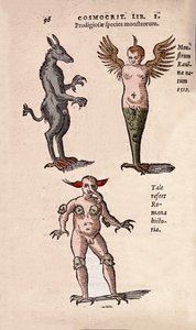 Verschiedene Monster und fantastische Kreaturen von Krakau und Ravenna. Platte aus „De Natura Divini Caracterismis“ von Cornelio Gemma