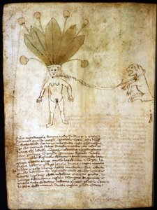 Weibliche Alraune, extrahiert aus einem Kräuterbuch des 14. Jahrhunderts von Unknown artist