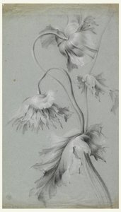 Blumendesign von Unknown artist