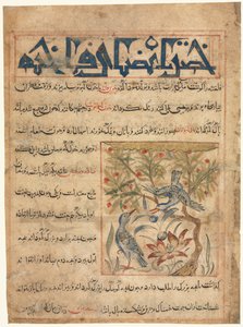 Folio aus einem persischen Manafi