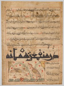 Folio aus einem persischen Manafi