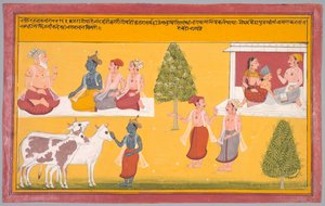 Freunde von Krishna, Folio 163 aus einer Bhakti Ratnavali von Vishnu Puri