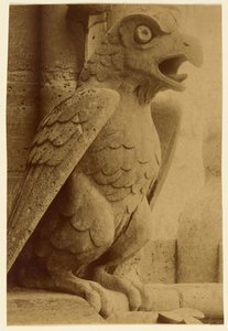 Wasserspeier, Notre-Dame