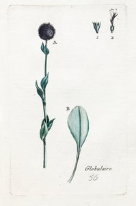 Kugelförmig von Unknown artist