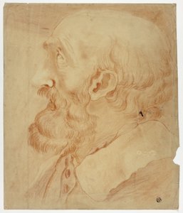 Kopf eines bärtigen Mannes im Profil von Unknown artist
