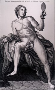 Hermaphroditischer Junge, gesehen 1755 und nach der Natur gezeichnet von Unknown artist