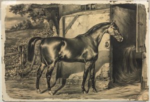 Pferd vor einer Scheune (Rückseite) von Unknown artist