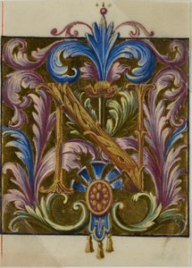Illuminierte Initiale "N" mit Akanthusblättern aus einem Chorbuch von Unknown artist