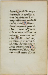 Illuminierte Manuskriptseite von Unknown artist