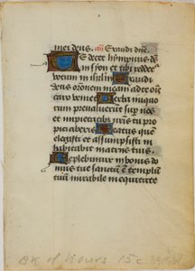Illuminierte Manuskriptseite aus einem Stundenbuch von Unknown artist
