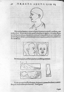 Bild der Physiognomie aus „Collectio Operum“ von Robert Fludd (Robertus de Fluctibus). London 1617