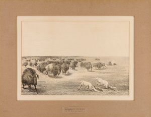 Indianer als Wölfe verkleidet--Nr. 13