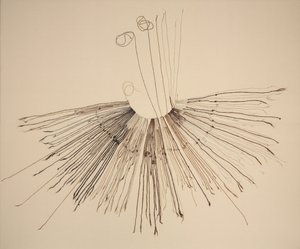Inka Khipu (Faseraufzeichnungsgerät) von Unknown artist