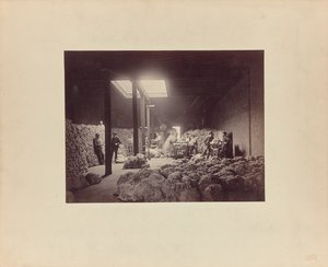 [Innenansicht des Wollsortierhauses, Walter Brown und Company] von Unknown artist