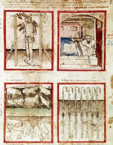 Joseph deutet die Träume des Korbmachers, der enthauptet wird. Oben rechts träumt der Pharao von den sieben fetten Kühen, Vorahnung der Jahre des Überflusses, und den sieben mageren Kühen der Jahre des Hungers. Miniatur aus Codex 212 von Unknown artist