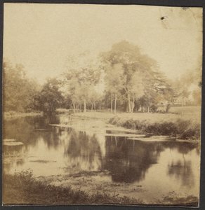 Landschaft mit Teich