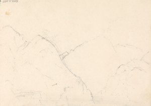 Madeira-Fischer, 14. Januar 