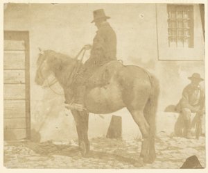 Mann zu Pferd