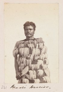Maori-Krieger, um 1876