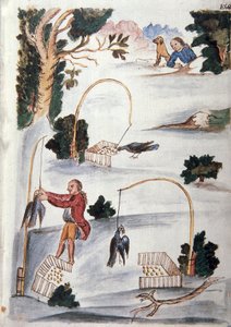 Methode zum Fangen von Vögeln mit dem Lasso, aus dem Buch "Trujillo del Peru" oder "Códice Martínez Compañón", von Baltazar Martinez Compañón y Bujanda, Bischof von Trujillo (1782-1785)