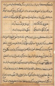 Seite aus Geschichten eines Papageis (Tuti-nama): Textseite von Unknown artist