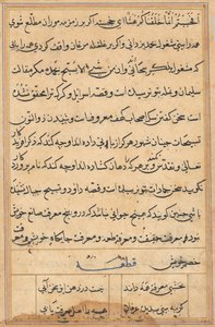 Seite aus Geschichten eines Papageis (Tuti-nama): Textseite von Unknown artist