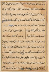 Seite aus Geschichten eines Papageis (Tuti-nama): Textseite von Unknown artist