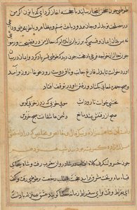 Seite aus Geschichten eines Papageis (Tuti-nama): Textseite von Unknown artist