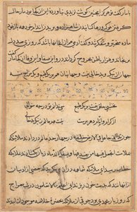 Seite aus Geschichten eines Papageis (Tuti-nama): Textseite von Unknown artist
