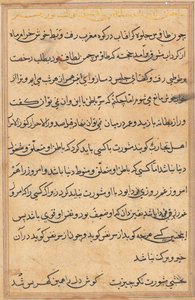 Seite aus Geschichten eines Papageis (Tuti-nama): Textseite von Unknown artist