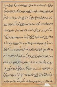 Seite aus Geschichten eines Papageis (Tuti-nama): Textseite von Unknown artist
