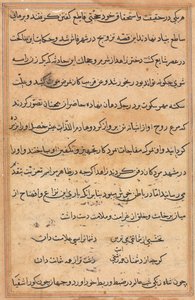 Seite aus Geschichten eines Papageis (Tuti-nama): Textseite