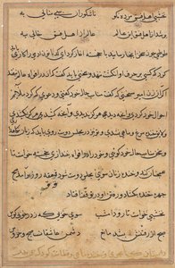 Seite aus Geschichten eines Papageis (Tuti-nama): Textseite von Unknown artist
