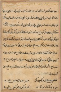 Seite aus Geschichten eines Papageis (Tuti-nama): Textseite von Unknown artist