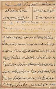 Seite aus Geschichten eines Papageis (Tuti-nama): Textseite von Unknown artist