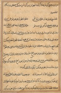 Seite aus Geschichten eines Papageis (Tuti-nama): Textseite von Unknown artist