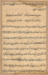 Seite aus Geschichten eines Papageis (Tuti-nama): Textseite von Unknown artist