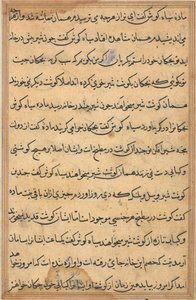Seite aus Geschichten eines Papageis (Tuti-nama): Textseite von Unknown artist