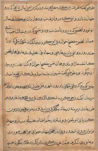 Seite aus Geschichten eines Papageis (Tuti-nama): Textseite von Unknown artist