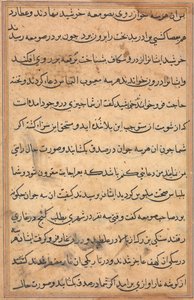 Seite aus Geschichten eines Papageis (Tuti-nama): Textseite von Unknown artist